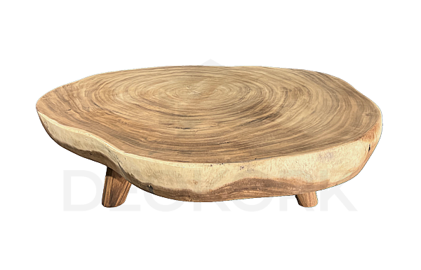 TRUNK XII suar coffee table