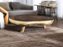 TRUNK XXV suar coffee table