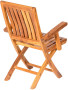 Folding teak armchair DORIS