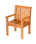 Teak armchair PIETRO