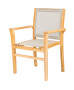 Teak armchair ROMA NEW