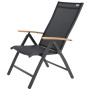 Adjustable aluminum armchair EXPERT WOOD (anthracite)