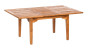 Teak table ELEGANTE