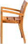 Teak armchair MARCO