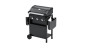 CAMPINGAZ Gas grill Compact 3 L